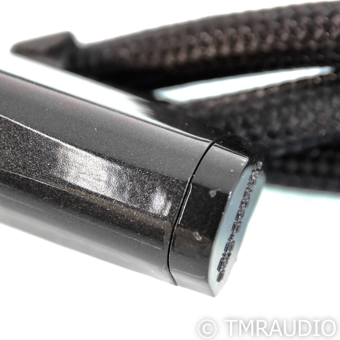 AudioQuest Dragon Source Power Cable; 1m AC Cord, 20A