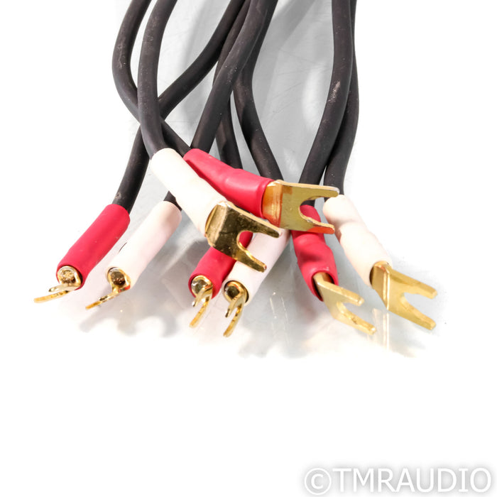 Shunyata Research Zi-Tron Cobra Speaker Cable; 2m Pair