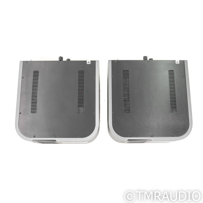Classe Audio Delta Mono Power Amplifiers; Pair
