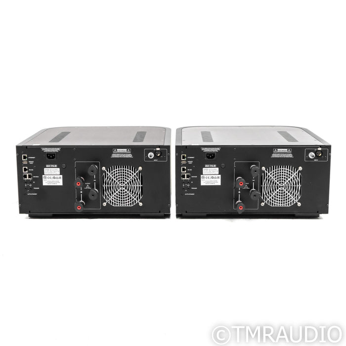 Classe Audio Delta Mono Power Amplifiers; Pair