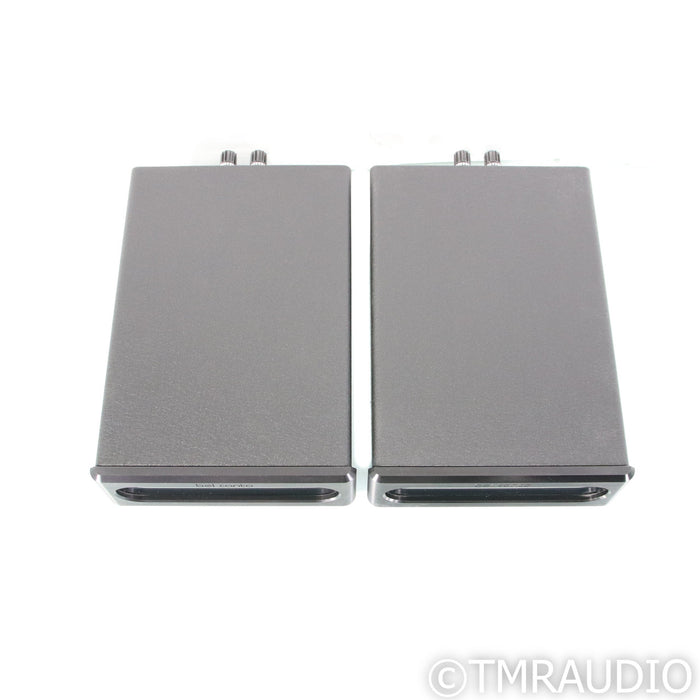 Bel Canto e.One REF600M Monoblock Power Amplifiers; Pair