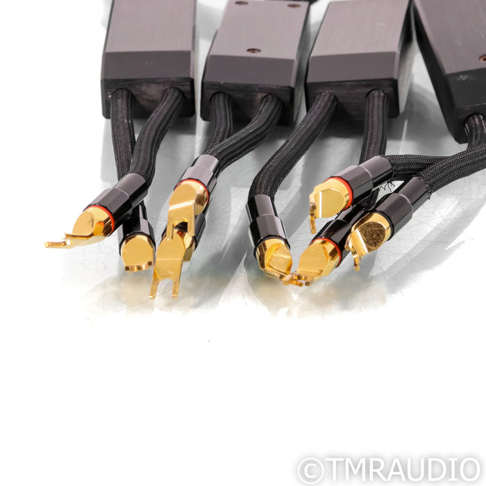 Transparent Audio Reference XL SS Speaker Cables; 10ft Pair