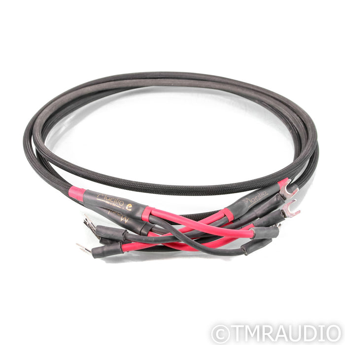 Audience Maestro Speaker Cables; 2m Pair