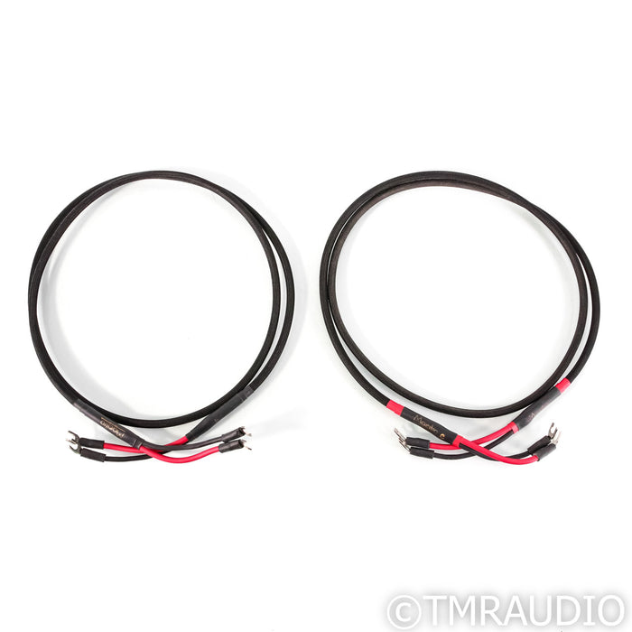 Audience Maestro Speaker Cables; 2m Pair