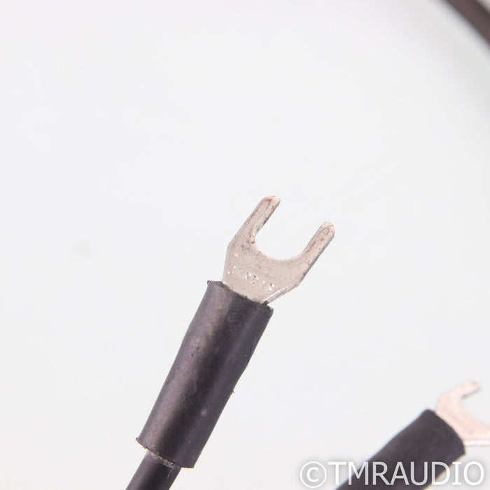 Audience Maestro Speaker Cables; 2m Pair