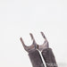 Audience Maestro Speaker Cables; 2m Pair