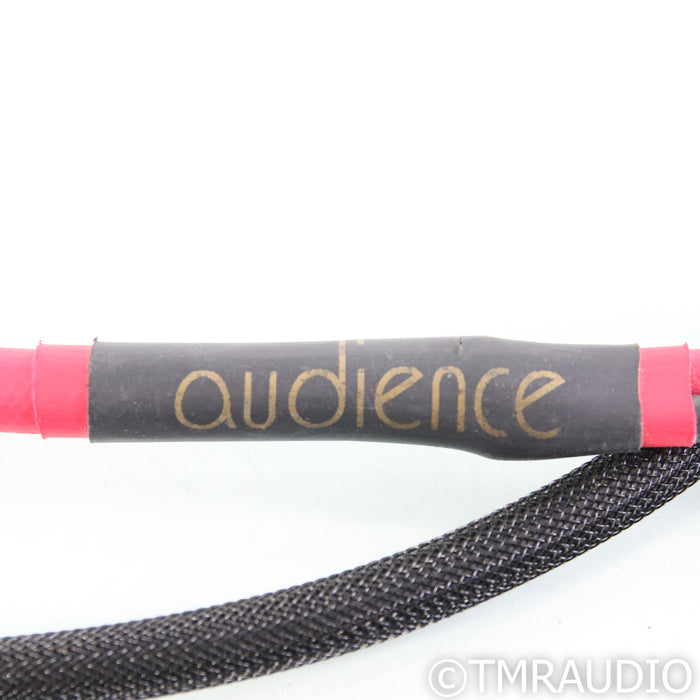 Audience Maestro Speaker Cables; 2m Pair