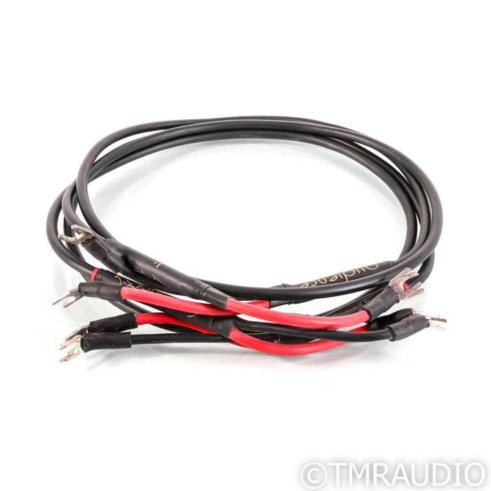 Audience Conductor Speaker Cables; 1.5m Pair