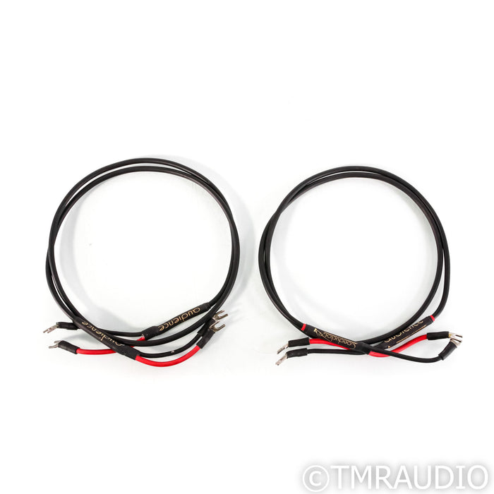 Audience Conductor Speaker Cables; 1.5m Pair