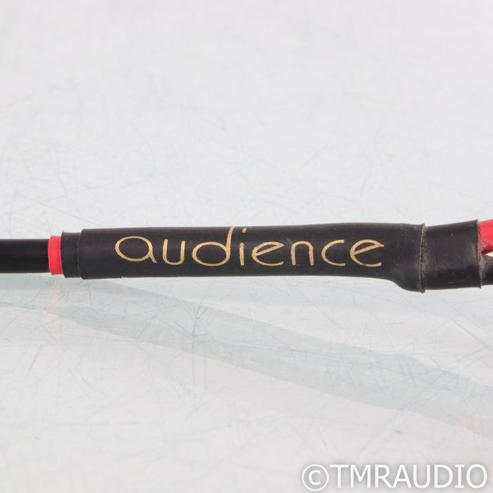 Audience Conductor Speaker Cables; 1.5m Pair