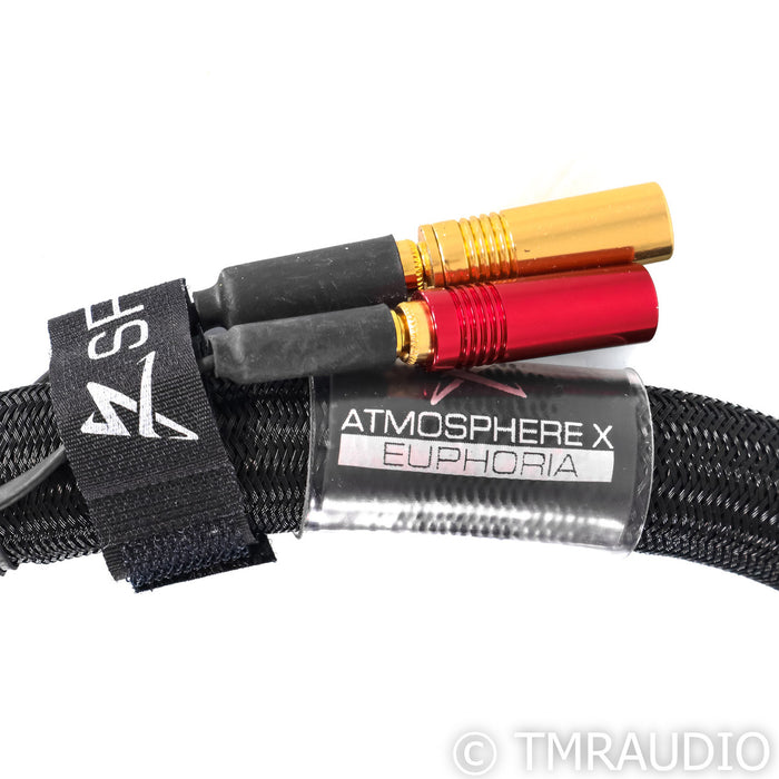 Synergistic Research Atmosphere X Euphoria Level 3 Power Cable; 5ft AC Cord
