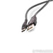 Moon Audio Silver Dragon USB Cable; 3ft Digital Interconnect, USB C