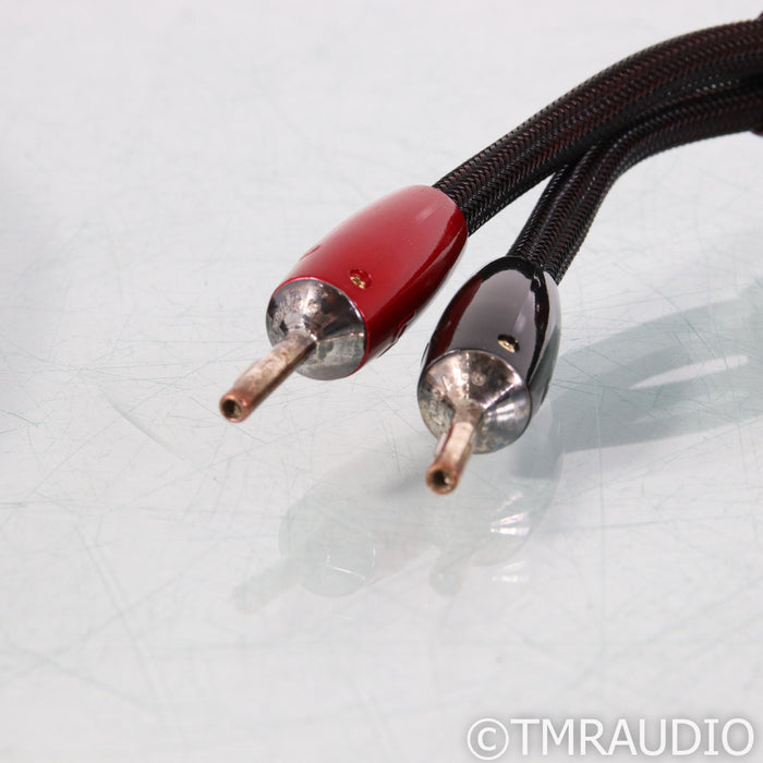 AudioQuest William Tell Zero Speaker Cables; 8ft Pair