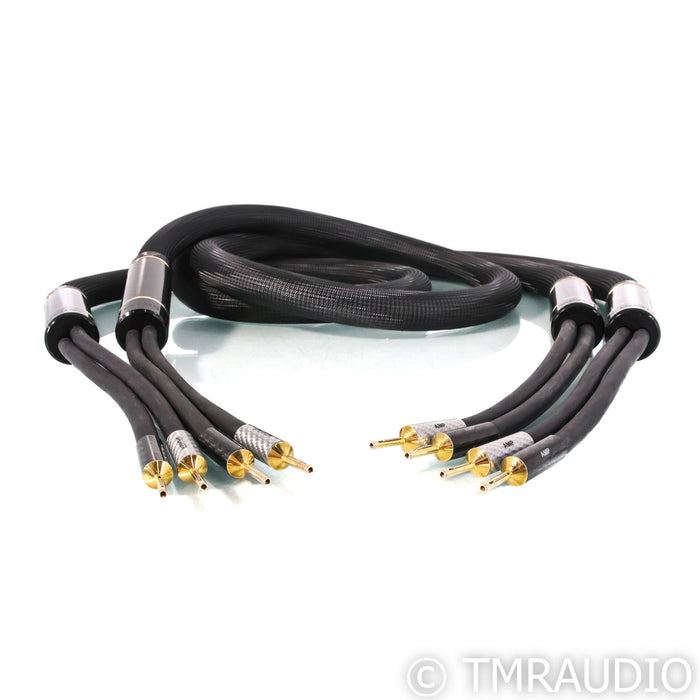 Shunyata Research Sigma v2 Speaker Cables; 2.5m Pair