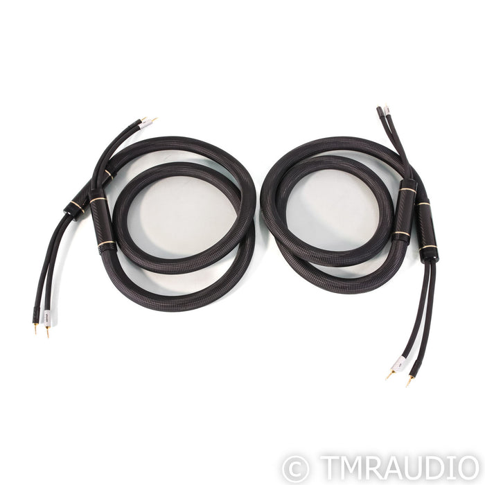 Shunyata Research Sigma v2 Speaker Cables; 2.5m Pair