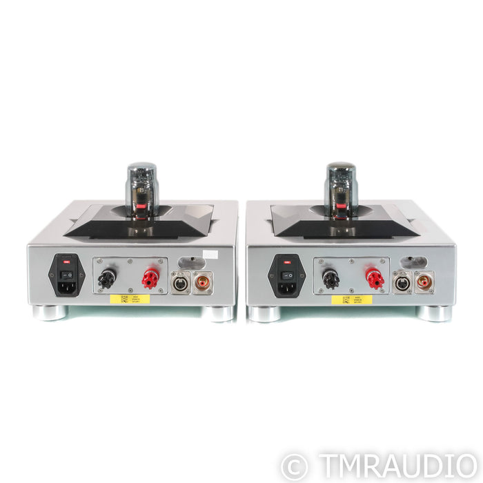 AGD Productions Inc. Vivace Monoblock Power Amplifiers; Pair