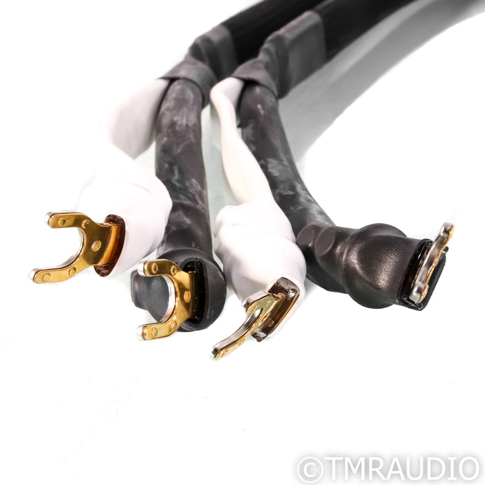 Analysis Plus Silver Apex Speaker Cables; 6ft Pair