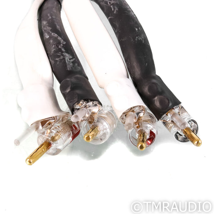 Analysis Plus Silver Apex Speaker Cables; 6ft Pair