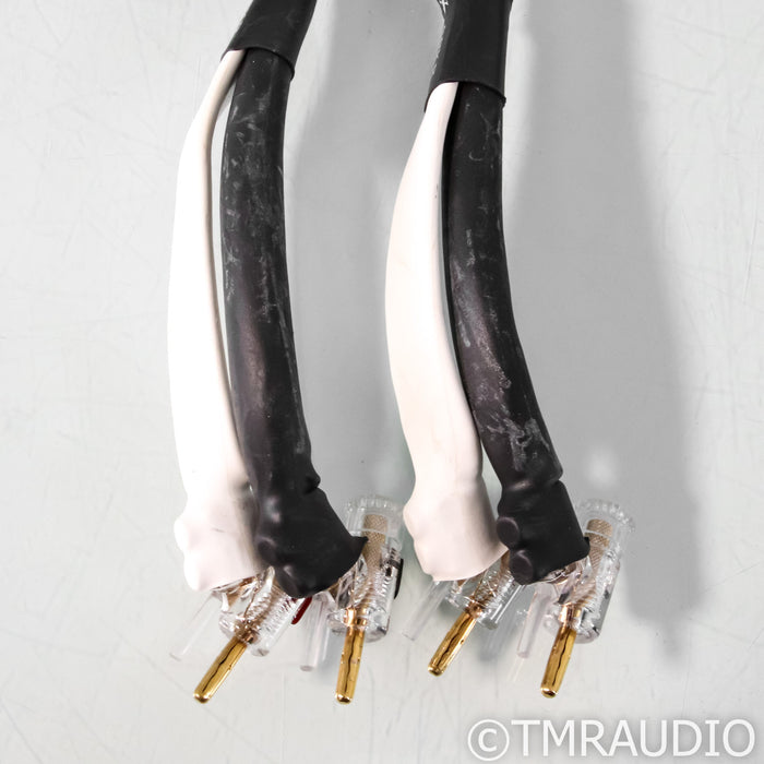 Analysis Plus Silver Apex Speaker Cables; 6ft Pair