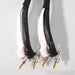 Analysis Plus Silver Apex Speaker Cables; 6ft Pair
