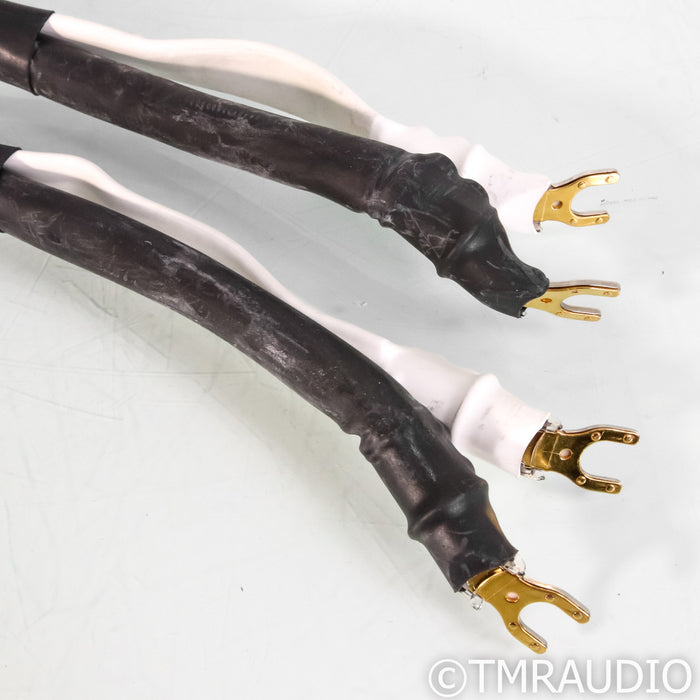 Analysis Plus Silver Apex Speaker Cables; 6ft Pair
