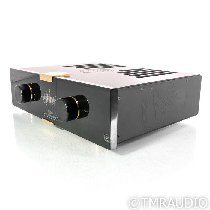 Circle Labs P300 Stereo Preamplifier