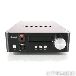 Audio-gd D-28.38 Standard DAC & Headphone Amplifier; D/A Converter