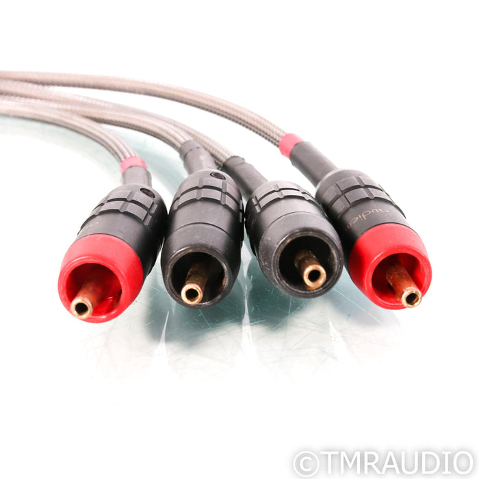 Audience Au24 SX RCA Cables; 1m Pair Interconnects