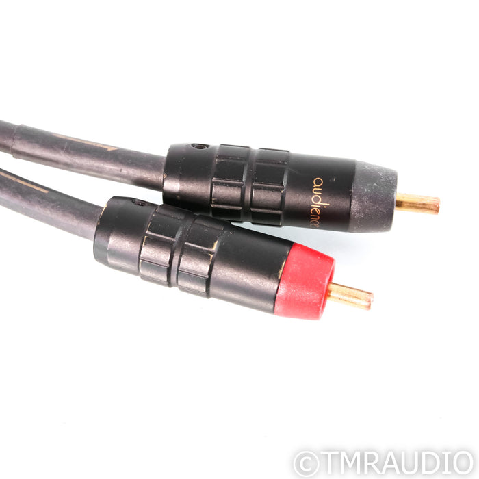 Audience Au24 SX RCA Cables; 1m Pair Interconnects