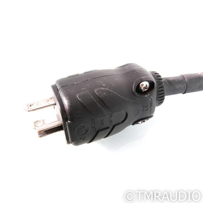 Audience Au24 SE LP powerChord; 6ft AC Cord