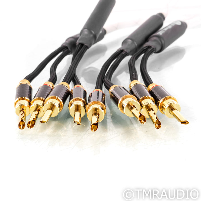 WyWires Platinum Series Speaker Cables; 5ft Pair