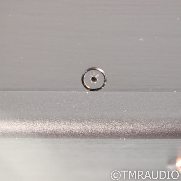 Legacy Audio i.V1 Ultra Monoblock Power Amplifier; Single