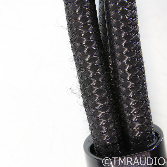 AudioQuest Dragon High-Current Power Cable; 1m AC Cord, 20A C19