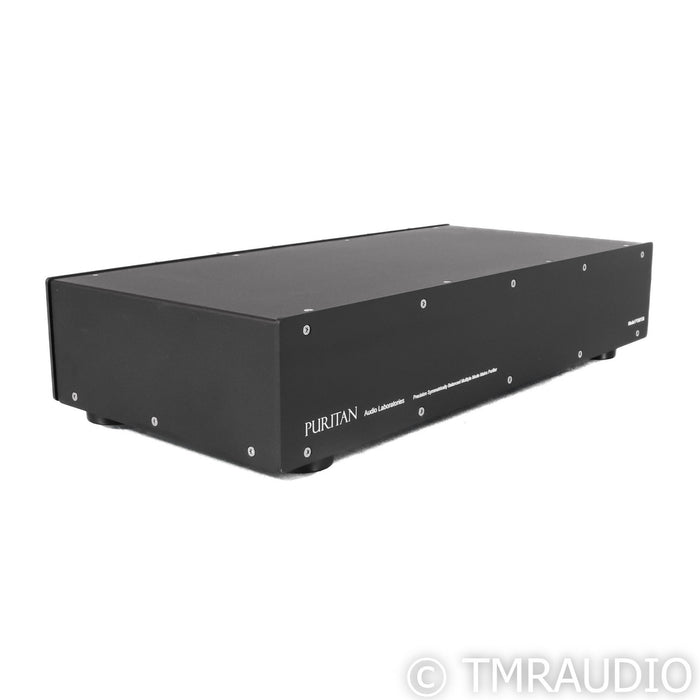 Puritan Audio Labs PSM156 AC Power Line Conditioner