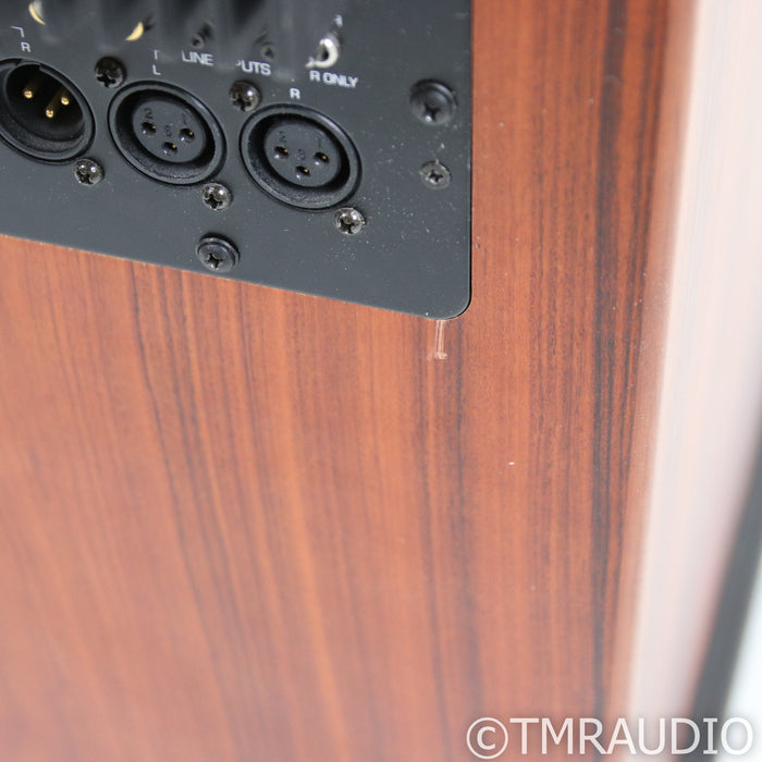 Aerial Acoustics SW12 12" Powered Subwoofer; Rosewood