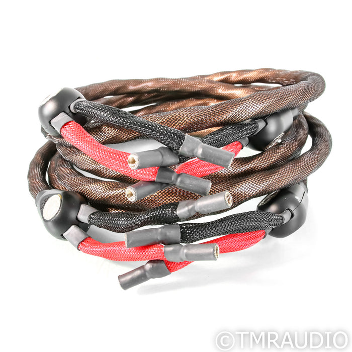 WireWorld Gold Eclipse 7 Speaker Cables; 2.5m Pair
