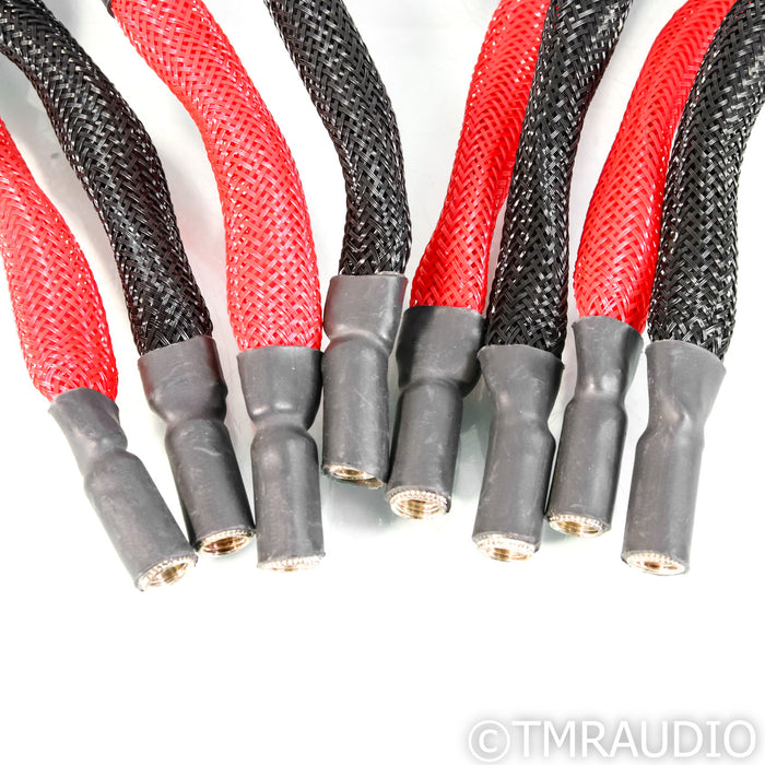 WireWorld Gold Eclipse 7 Speaker Cables; 2.5m Pair