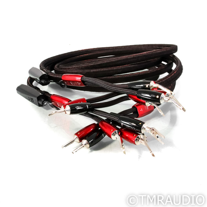 AudioQuest Comet Bi-Wire Speaker Cables; 10ft Pair