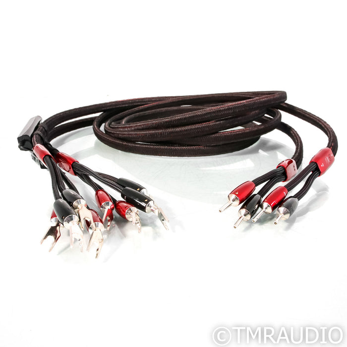 AudioQuest Comet Bi-Wire Speaker Cables; 10ft Pair