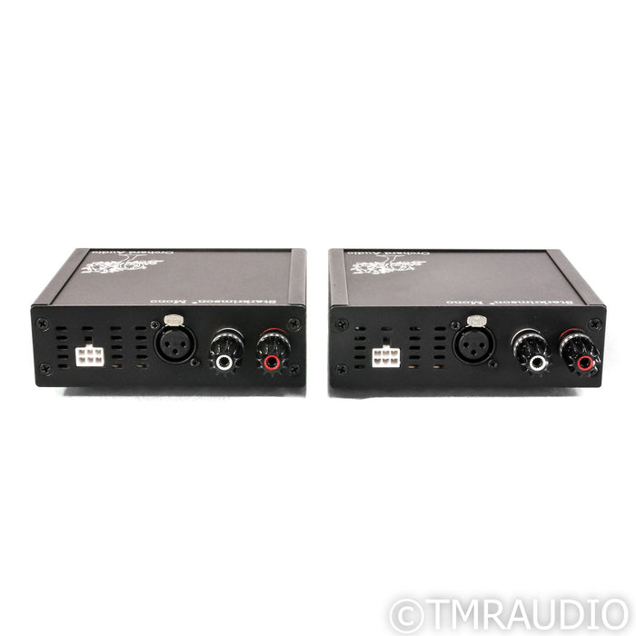 Orchard Audio Starkrimson GaN Monoblock Power Amplifier; Pair w/ Upgrades