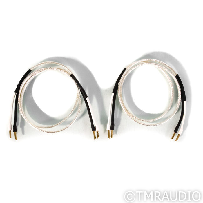 Analysis Plus Silver Oval 2 Speaker Cables; 4' Pair