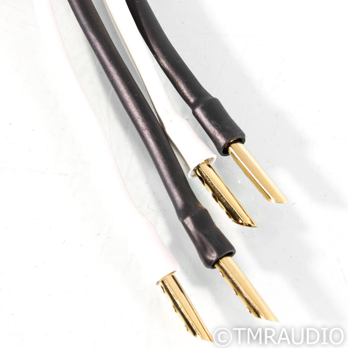 Analysis Plus Silver Oval 2 Speaker Cables; 4' Pair