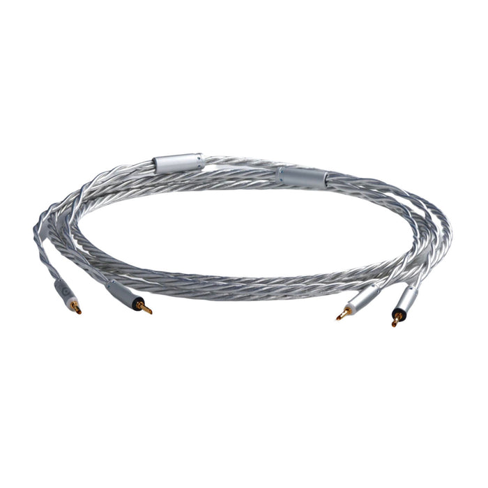 Ansuz Speakz X Speaker Cables; 3m Pair (Sealed)