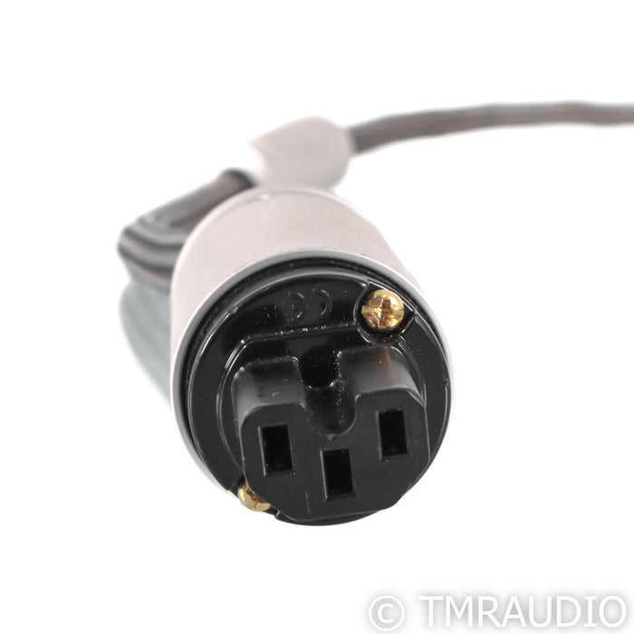 Ansuz Mainz D2 Power Cable; 2m AC Cord