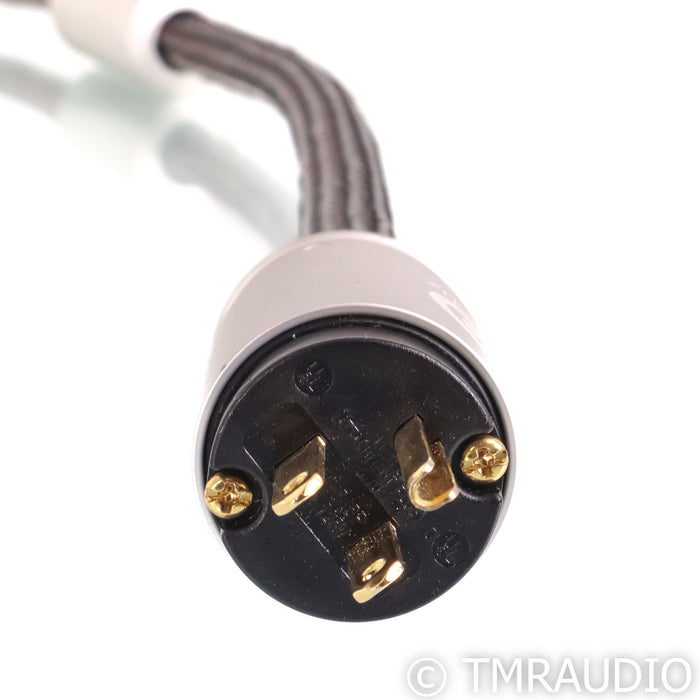 Ansuz Mainz D2 Power Cable; 2m AC Cord