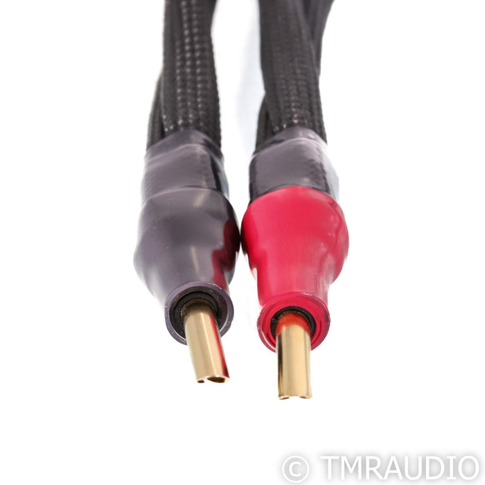 Synergistic Research Foundation Bi-Wire Speaker Cable; 2.5m Single