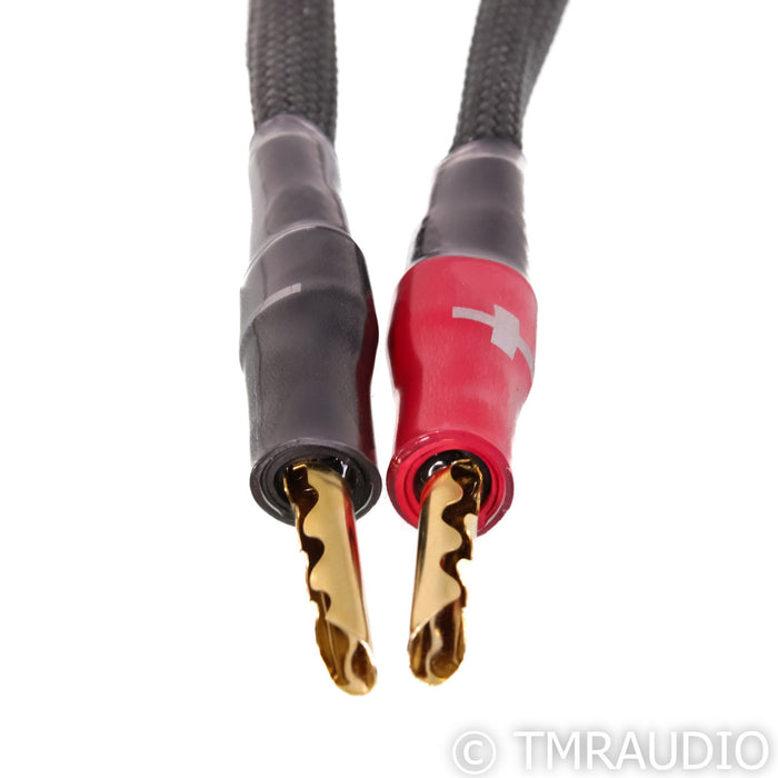 Synergistic Research Foundation Bi-Wire Speaker Cable; 2.5m Single