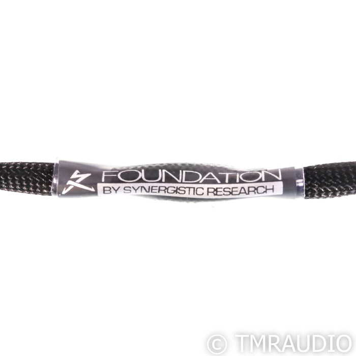 Synergistic Research Foundation Bi-Wire Speaker Cable; 2.5m Single
