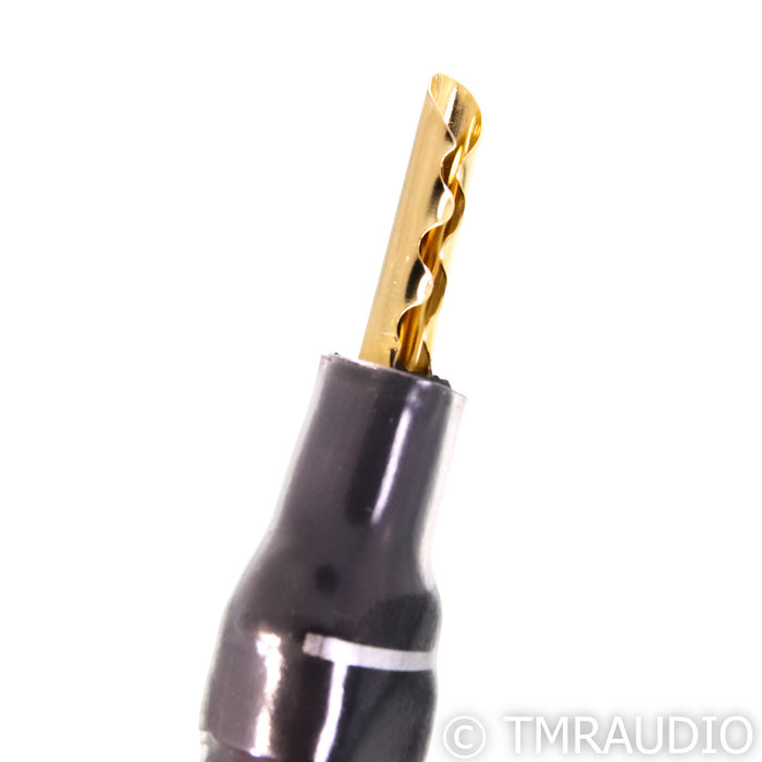 Synergistic Research Foundation Bi-Wire Speaker Cable; 2.5m Single