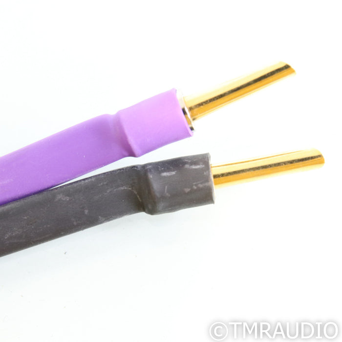 Analysis Plus Clear Oval Speaker Cables; 8ft Pair